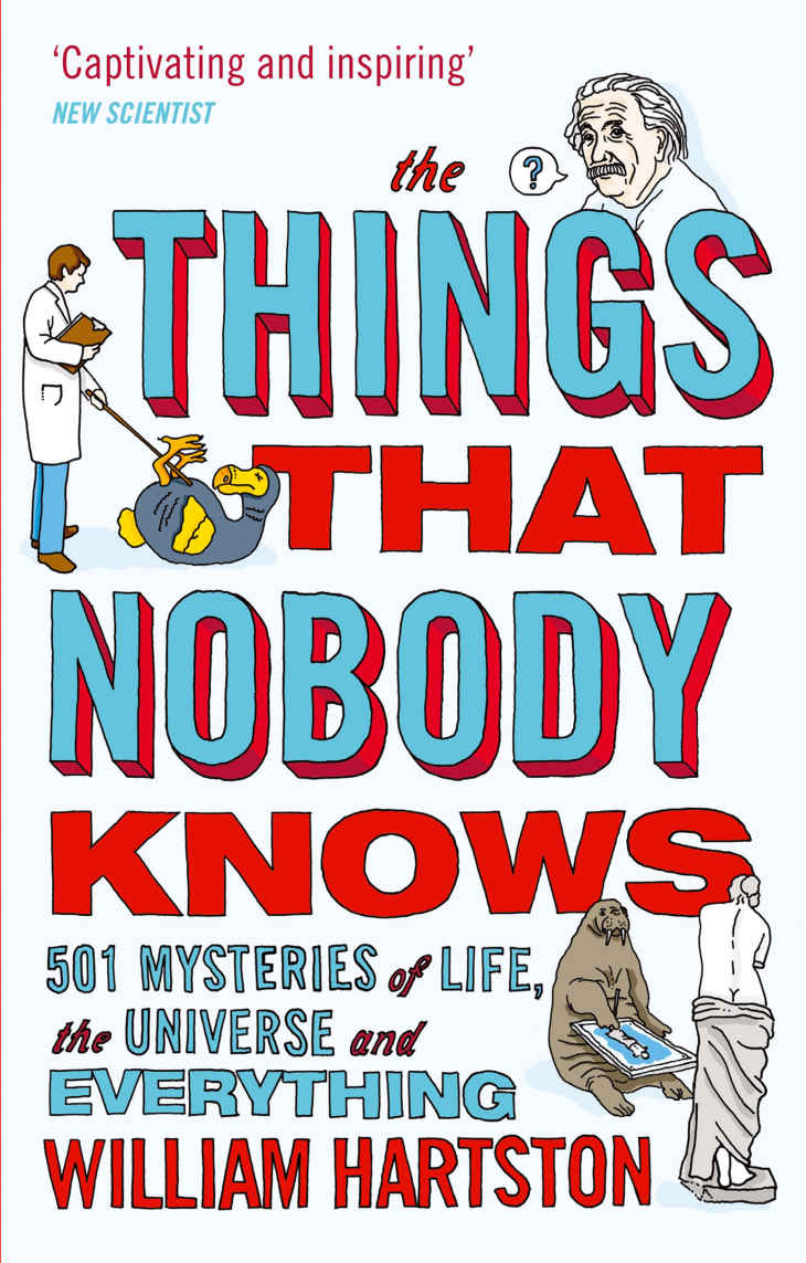 The Things That Nobody Knows