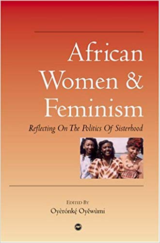 African Women &amp; Feminism