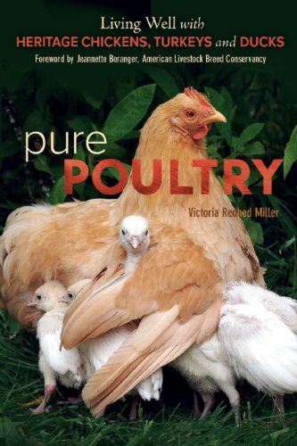 Pure Poultry