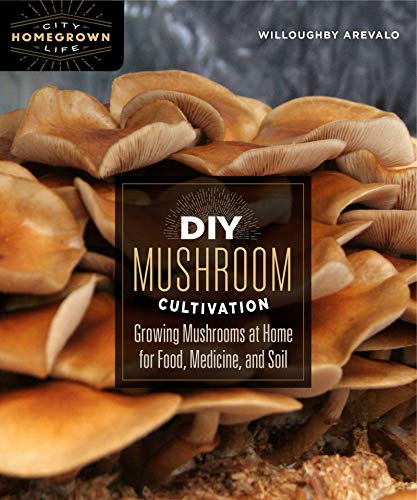 DIY Mushroom Cultivation