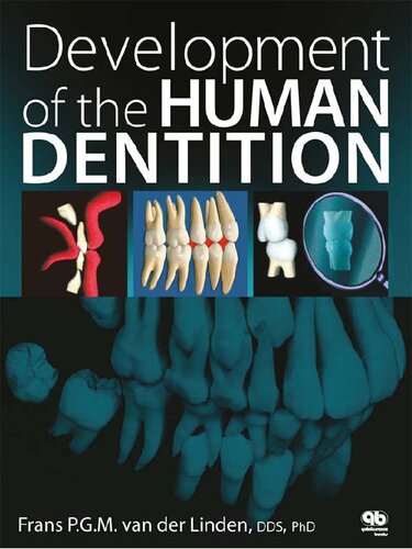 Development of the Human Dentition