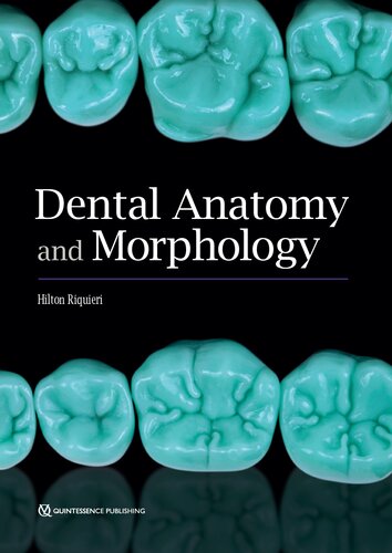 Dental Anatomy and Morphology