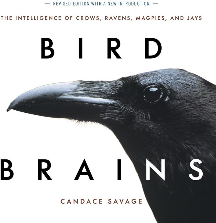 Bird Brains: The Intelligence of Crows, Ravens, Magpies, and Jays