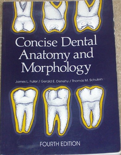 Concise Dental Anatomy and Morphology