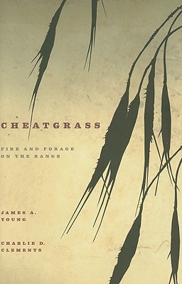 Cheatgrass