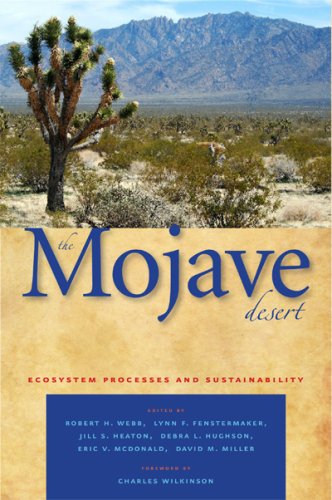 The Mojave Desert