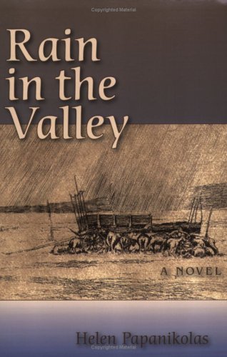 Rain in the valley : a novel