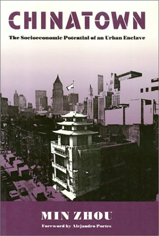 Chinatown: The Socioeconomic Potential of an Urban Enclave (Conflicts In Urban & Regional)