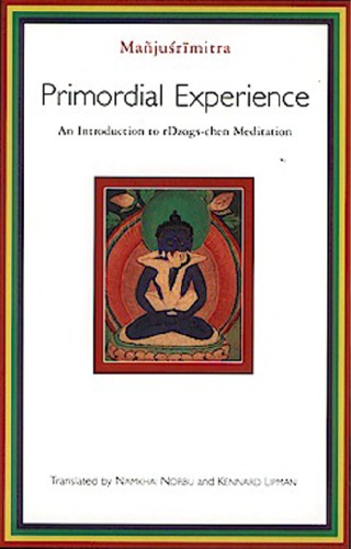 Primordial Experience