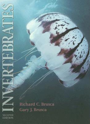 Invertebrates