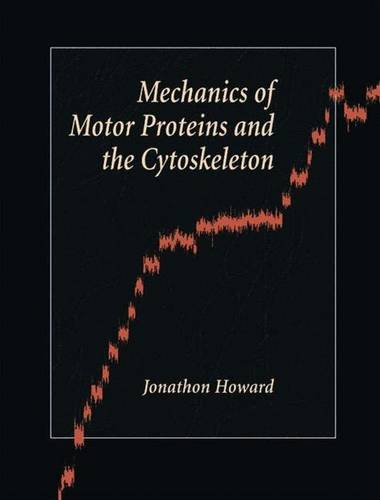 Mechanics of Motor Proteins &amp; the Cytoskeleton