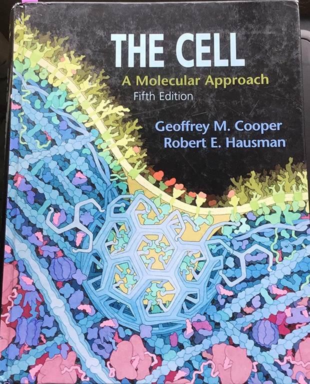 Cell: A Molecular Approach, 5th Edition, The: A CourseSmart eBook