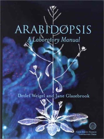 Arabidopsis