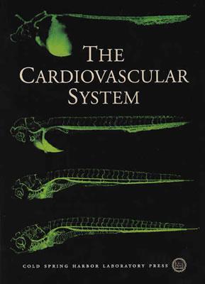 The Cardiovascular System