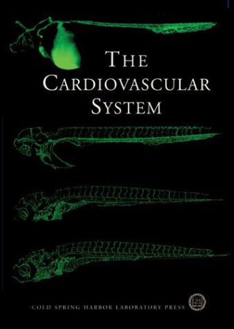 The cardiovascular system