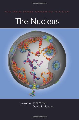 Nucleus, the CB