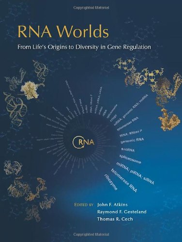 RNA Worlds