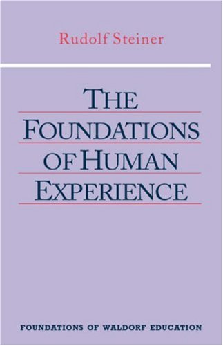 The Foundations of Human Experience