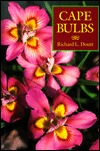 Cape Bulbs