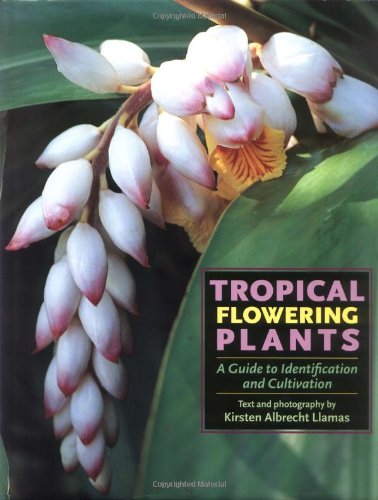 Tropical Flowering Plants