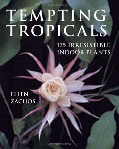 Tempting Tropicals