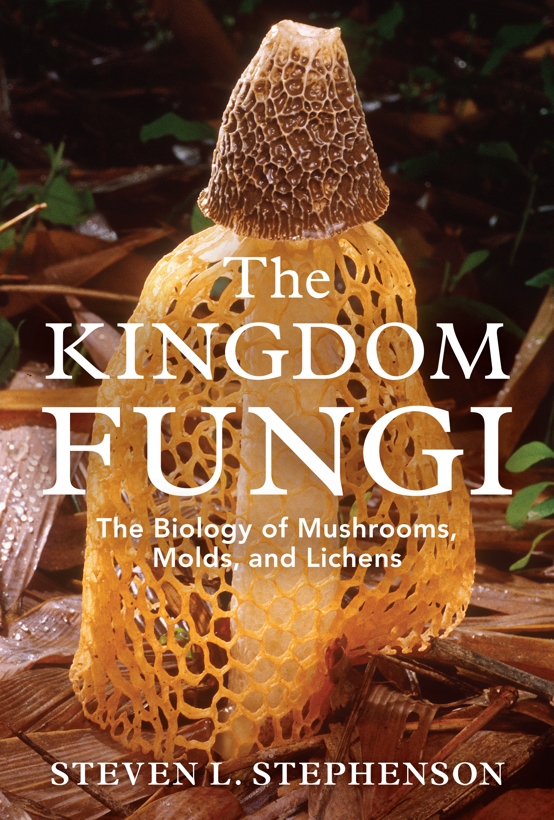 The Kingdom Fungi