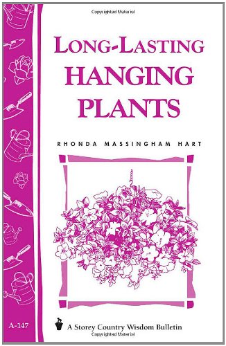 Long-Lasting Hanging Plants