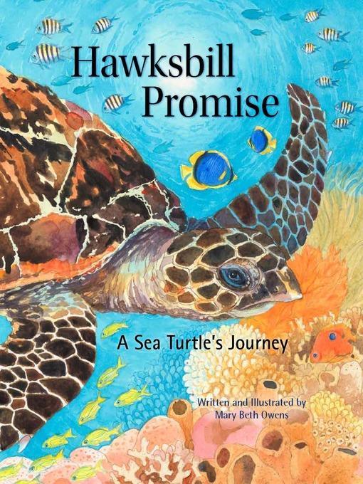 Hawksbill Promise