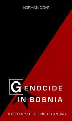 Genocide in Bosnia