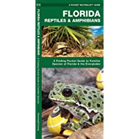 Handbook of Reptiles and Amphibians of Florida: Part Three The Amphibians