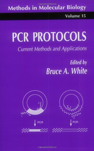 PCR Protocols