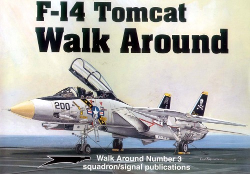 F-14 Tomcat Walk Around