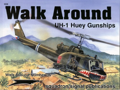 UH-1 Huey Gunships - Walk Around No. 36