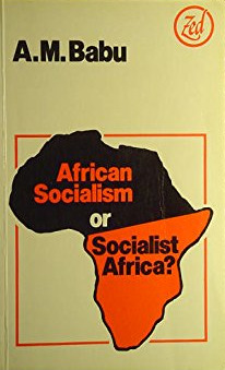 African Socialism or Socialist Africa? (Africa series)