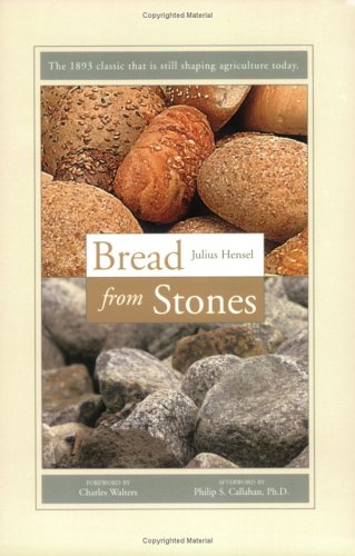 Bread from Stones