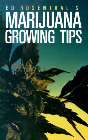 Marijuana Growing Tips