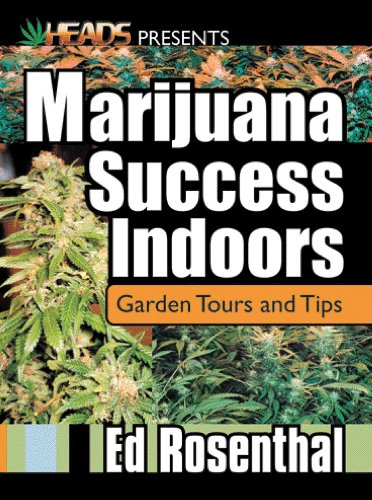 Marijuana Success Indoors