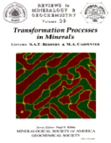 Transformation Processes In Minerals