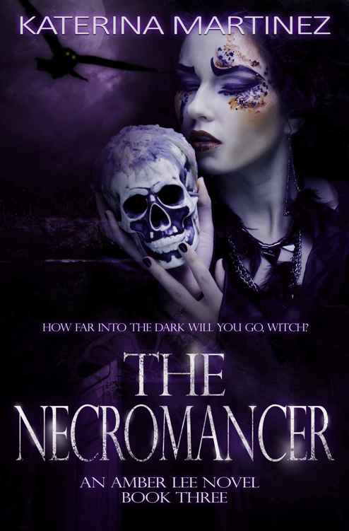 The Necromancer (Amber Lee Mysteries) (Volume 4)