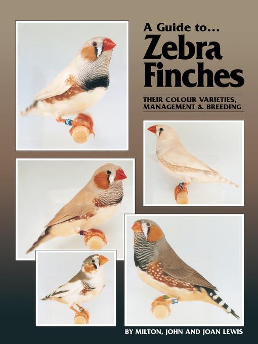 A Guide to Zebra Finches