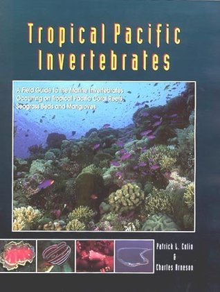 Tropical Pacific Invertebrates