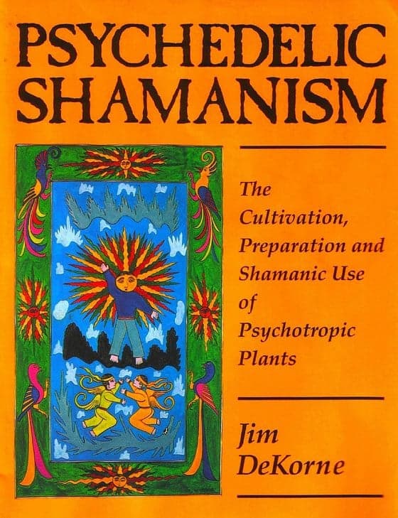 Psychedelic Shamanism