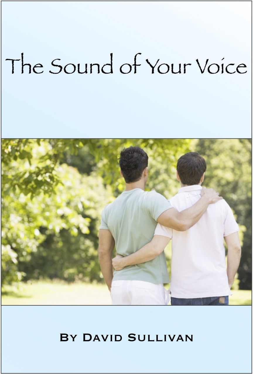 Sound of Your Voice