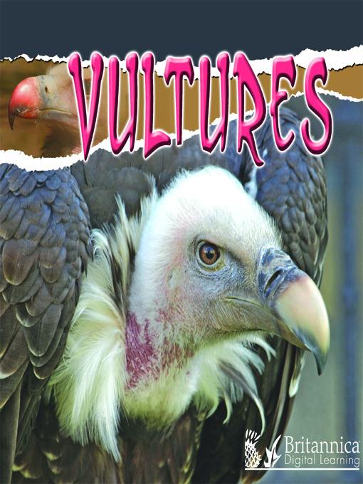 Vultures