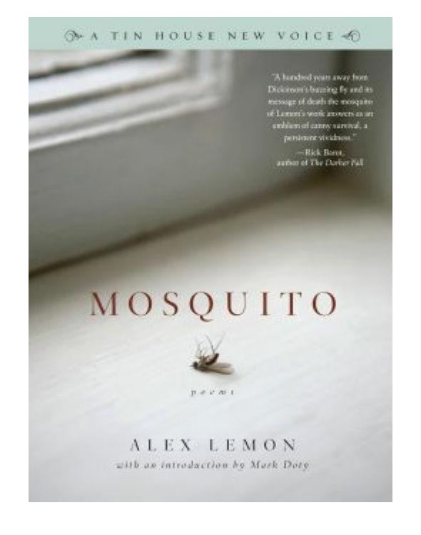 Mosquito