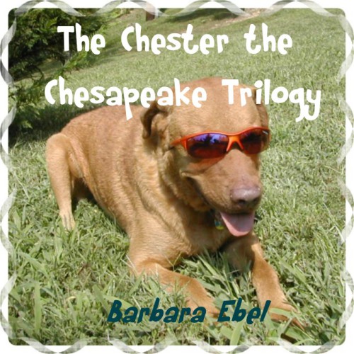 Chester the Chesapeake: Wintertime