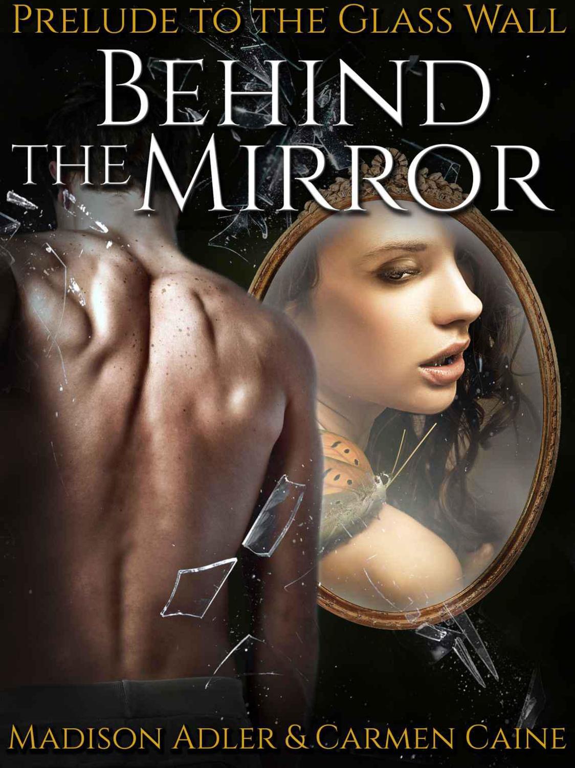 Behind the Mirror ( the Glass Wall )