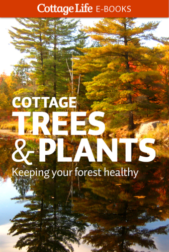 Cottage Trees  Plants