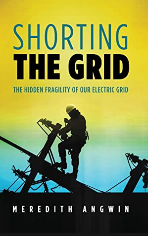 Shorting the Grid