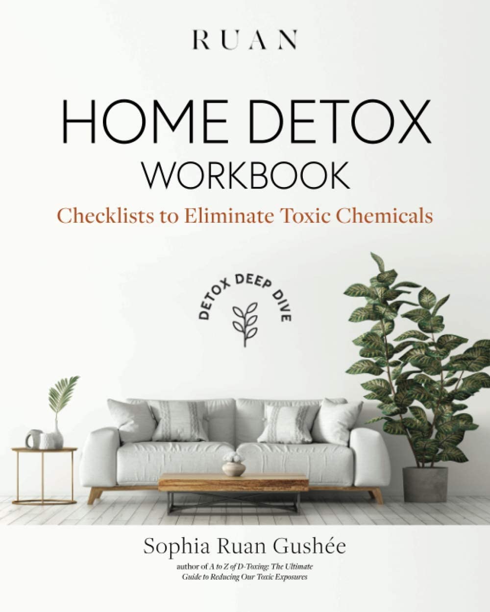 Home Detox Workbook: Checklists To Eliminate Toxic Chemicals (Detox Deep Dive)